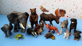 Animalia figurines